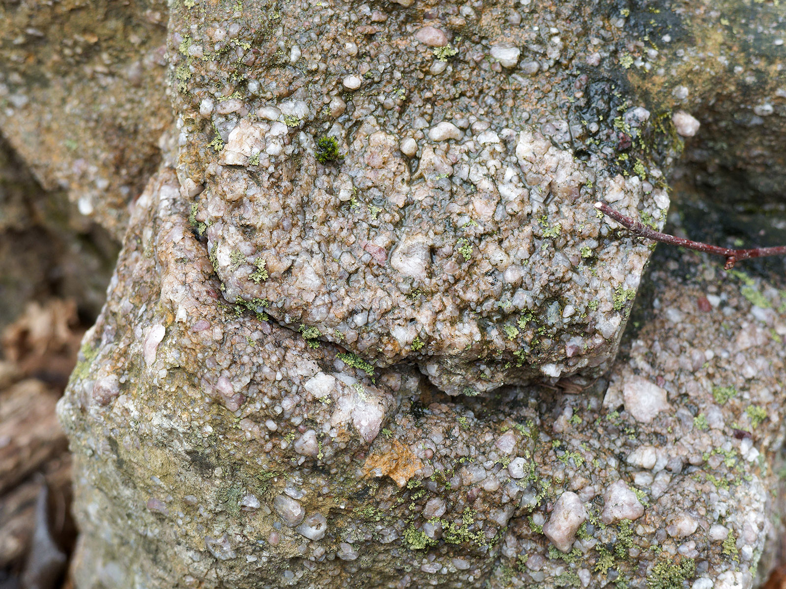 Closer view of coarse quartz pebble conglomerate.